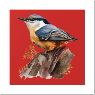 Nuthatch Bird On A Tree Branch 3.0 Posters and Art